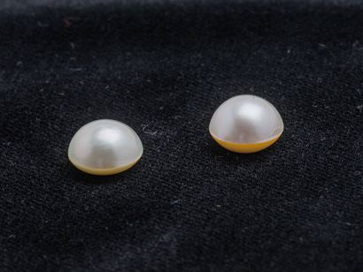 Lot de deux perles mabé de culture d'environ...