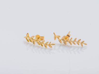 MEDECINE DOUCE
Earrings, 