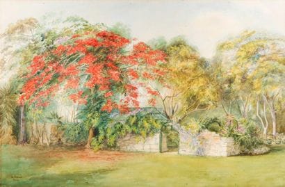 L. HOWELL (XX)
Mimosas en fleurs, 1916 Aquarelle...