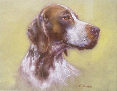 DAMMERON (?)
Tête de chien Pastel Signé en...