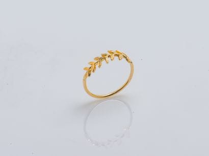 MEDECINE DOUCE
Bague modèle 