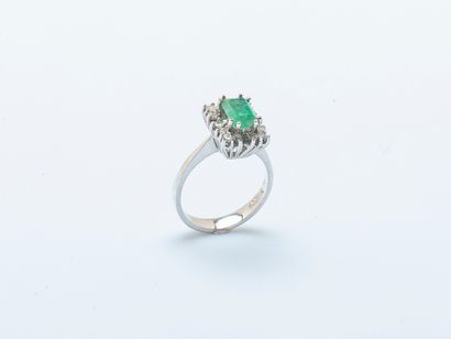 Bague en or gris 14 carats v sertie d'une...