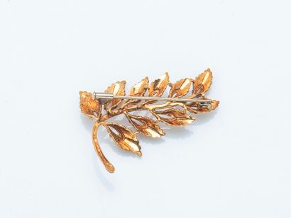 Broche branchage en or jaune 18 carats (750...