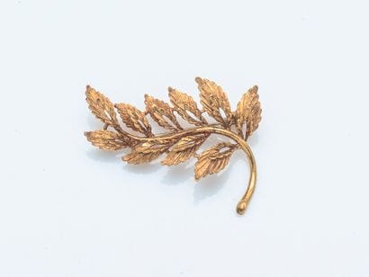 Broche branchage en or jaune 18 carats (750...