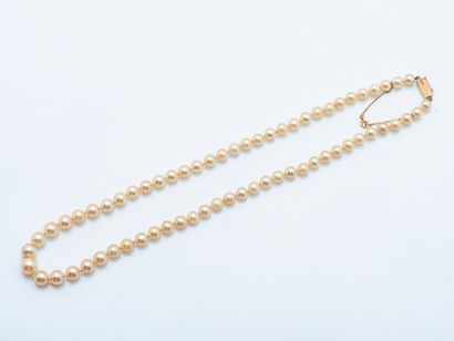 Collier d'un rang de perles de culture en...
