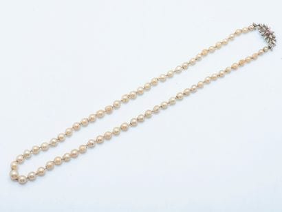 NON VENU
Collier de perles de culture en...