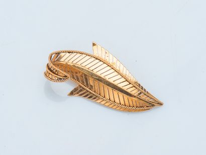 Broche palme en or jaune 18 carats (750 ‰)...