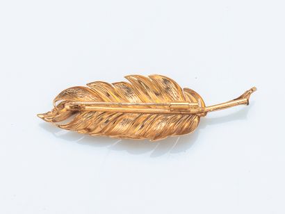 Broche plume en or jaune 18 carats (750 ‰)...