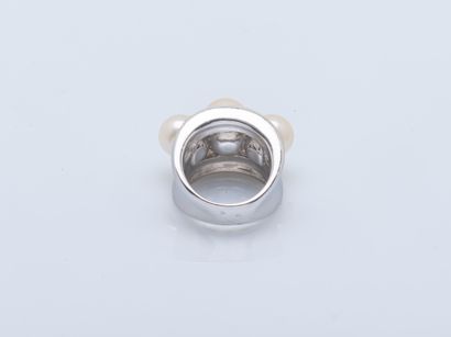 Domed band ring in 18K (750 ‰) white gold...