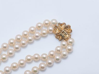 TRIO
Two-row necklace of chocker cultured...