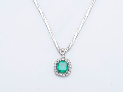 18K (750 ‰) white gold chain and pendant,...