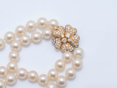 TRIO
Two-row necklace of chocker cultured...