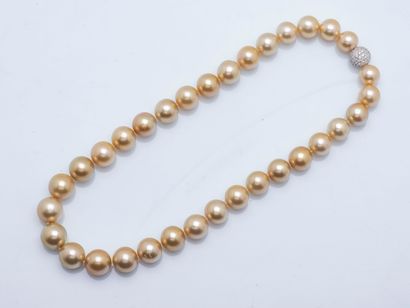 Collier d’un rang de perles de culture dorées...