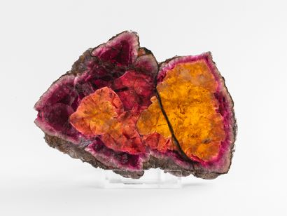 Tranche de tourmaline, Brésil. 
Dim. : 12...