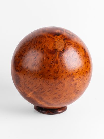 Sphère de racine de Thuya. 
Dia. : 20 cm