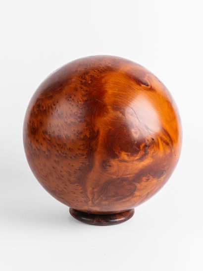 Sphère de racine de Thuya. 
Dia. : 20 cm