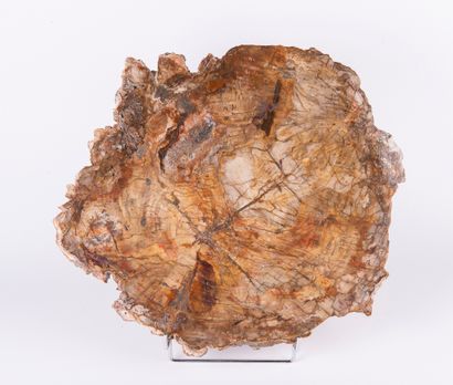 Bois brun, Madagascar. 
Dim. : 40 x 45 x...