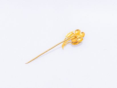 Pin in 18K yellow gold (750 ‰) adorned with...