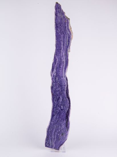 Charoïte, Sibérie. 
Dim. : 9 x 57 cm