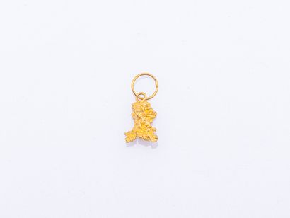 18K yellow gold pendant (750 ‰) adorned with...
