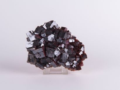 Vanadinite, Taouz, Maroc. 
Dim. : 16 x 13...