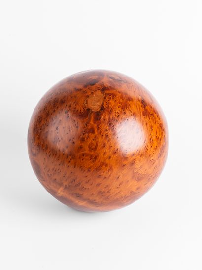 Sphère de racine de Thuya. 
Dia. : 20 cm