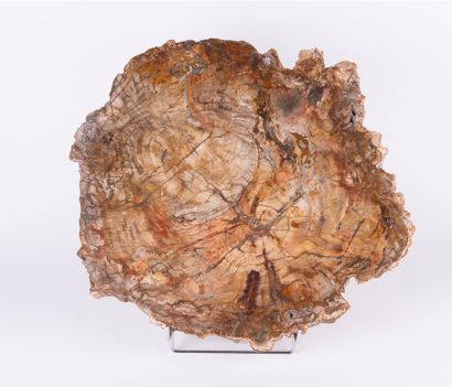 Bois brun, Madagascar. 
Dim. : 40 x 45 x...