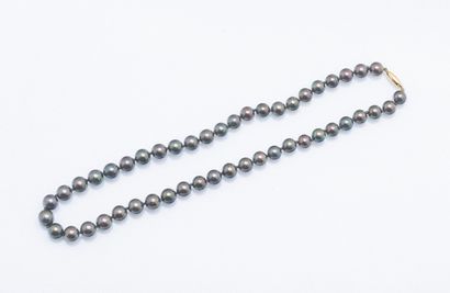 Collier d'un rang de perles de culture grise...