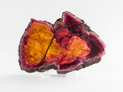Tranche de tourmaline, Brésil. 
Dim. : 12...