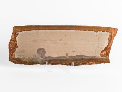 Paèsine. 
Dim. : 10 x 27 cm