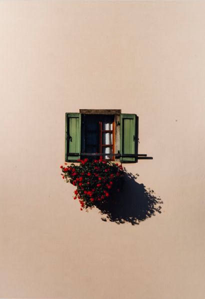Marcus CEDERBERG (né en 1965) 
Home gardener,...