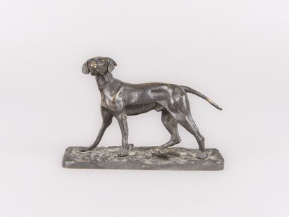 Pierre-Jules MÈNE (1810-1879)
Epagneul 
Bronze...