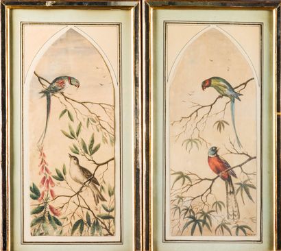 JACKSON (XIX) 
Volatiles 
Deux aquarelles...