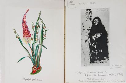 Salvador DALI (1904-1989)
SNCF. Suite des...