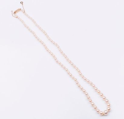 Collier de 87 perles de culture Akoya en...