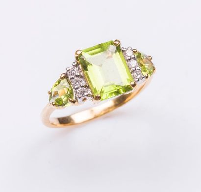 Bague en or jaune et or gris 18 carats (750...