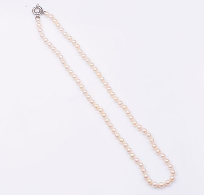 Collier de perles de culture choker. Fermoir...
