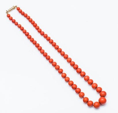 Collier de boules de corail (corallium spp....