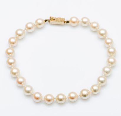 Bracelet de perles de culture choker, le...