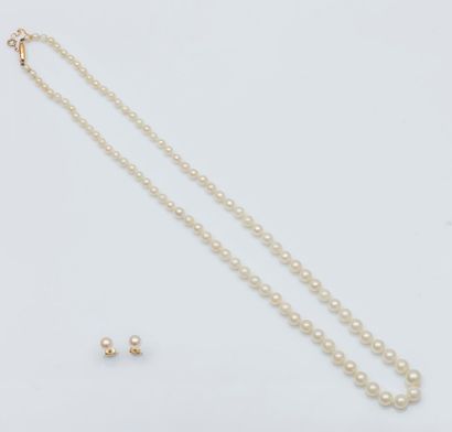 Parure en or jaune 18 carats (750 millièmes)...