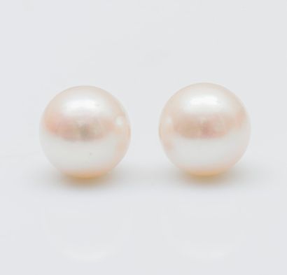 Paire de boutons d’oreilles en or jaune 18...