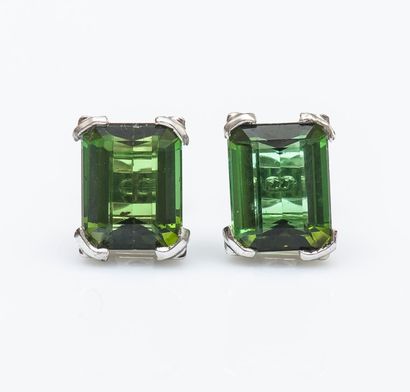 Paire de boutons d’oreilles en métal argenté...