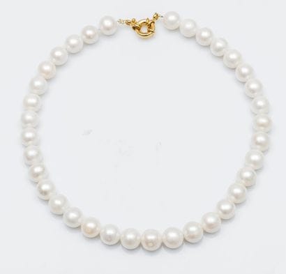 Collier chocker composé de perles de culture...