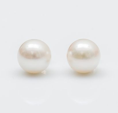 Paire de boutons d’oreilles en or jaune 18...