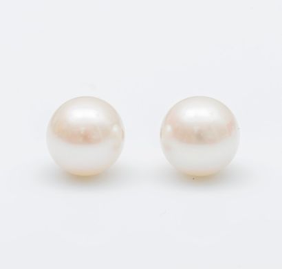 Paire de boutons d’oreilles en or jaune 18...