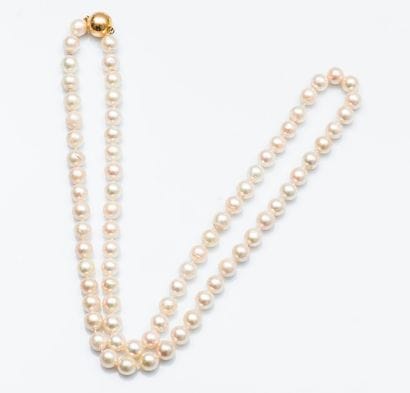 Collier choker de perles de culture blanches,...