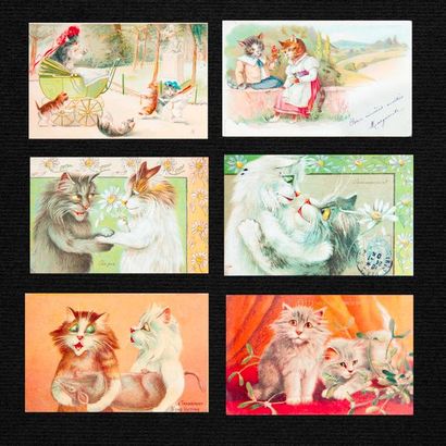 CHATS - CHIENS - ANIMAUX DIVERS - Ensemble...