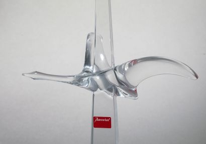 Serge MANSAU pour Baccarat
