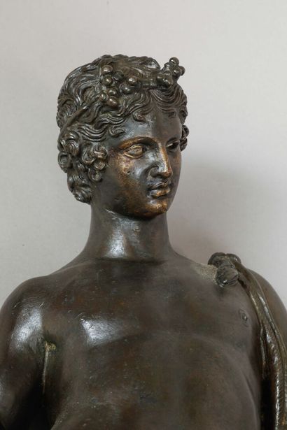Narcisse
Sculpture en bronze patinée d'après...