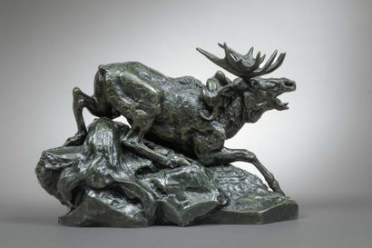 Antoine-Louis BARYE (1796-1875)
Elan surpris...